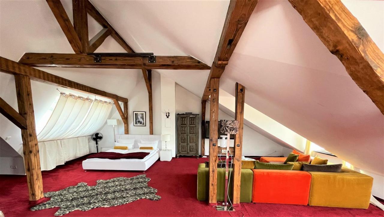 City Penthouse Mit Dachterrasse Freiburg im Breisgau Exterior photo